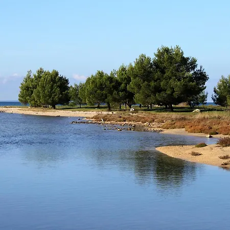 Family-friendly With Swimming Pool Zaton, Zadar - 28013 Apartamento Nin